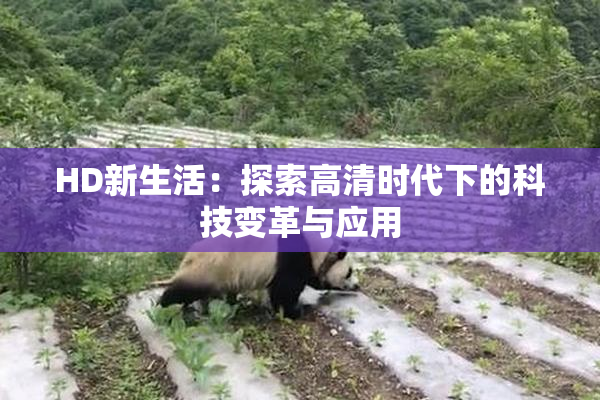 HD新生活：探索高清时代下的科技变革与应用