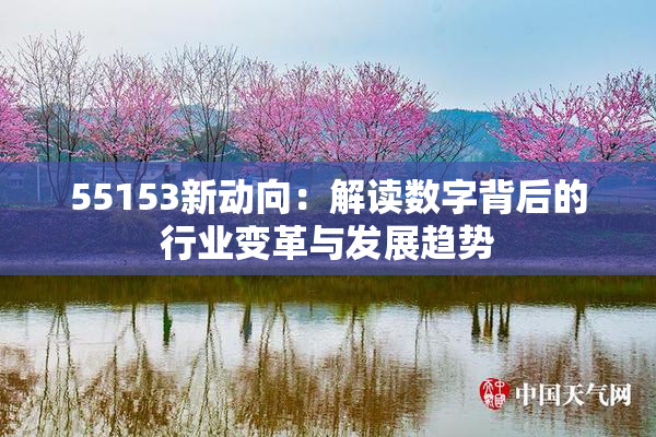 55153新动向：解读数字背后的行业变革与发展趋势