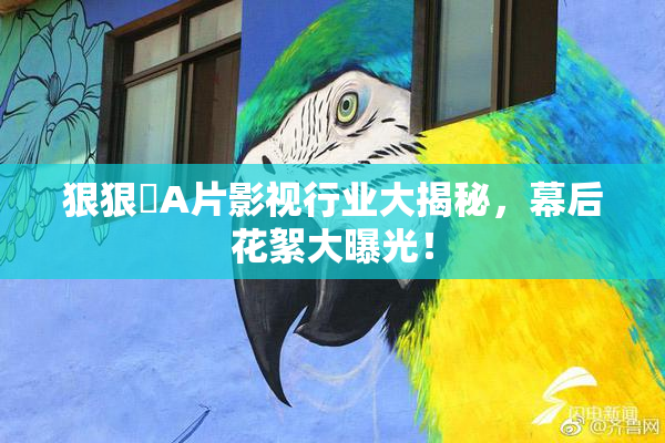 狠狠穞A片影视行业大揭秘，幕后花絮大曝光！