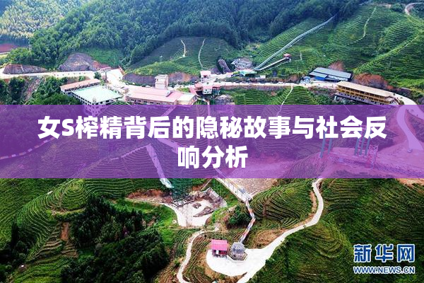 女S榨精背后的隐秘故事与社会反响分析