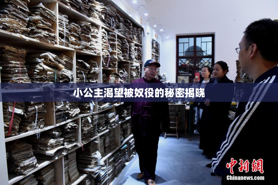 小公主渴望被奴役的秘密揭晓