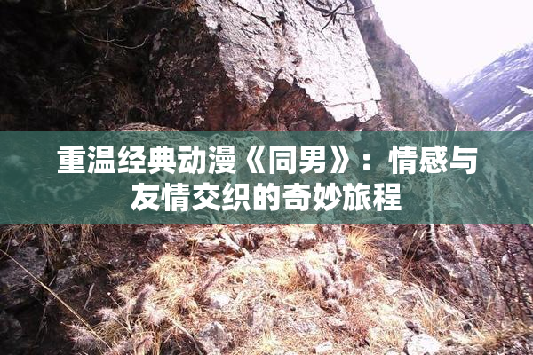 重温经典动漫《同男》：情感与友情交织的奇妙旅程