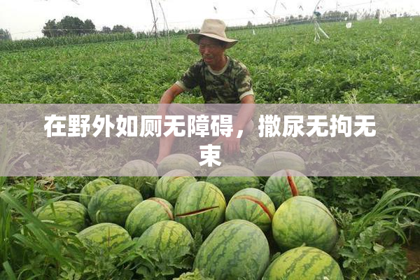 在野外如厕无障碍，撒尿无拘无束