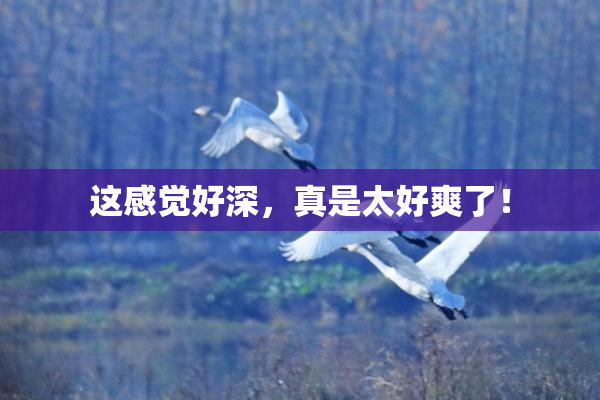 这感觉好深，真是太好爽了！