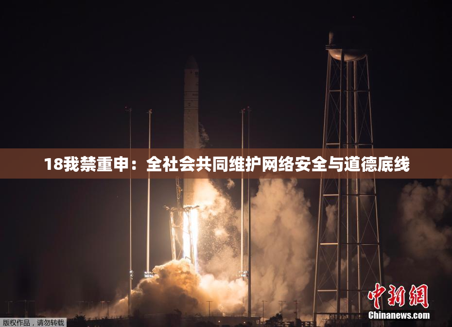 18我禁重申：全社会共同维护网络安全与道德底线