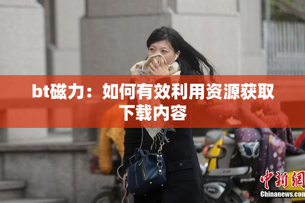 bt磁力：如何有效利用资源获取下载内容