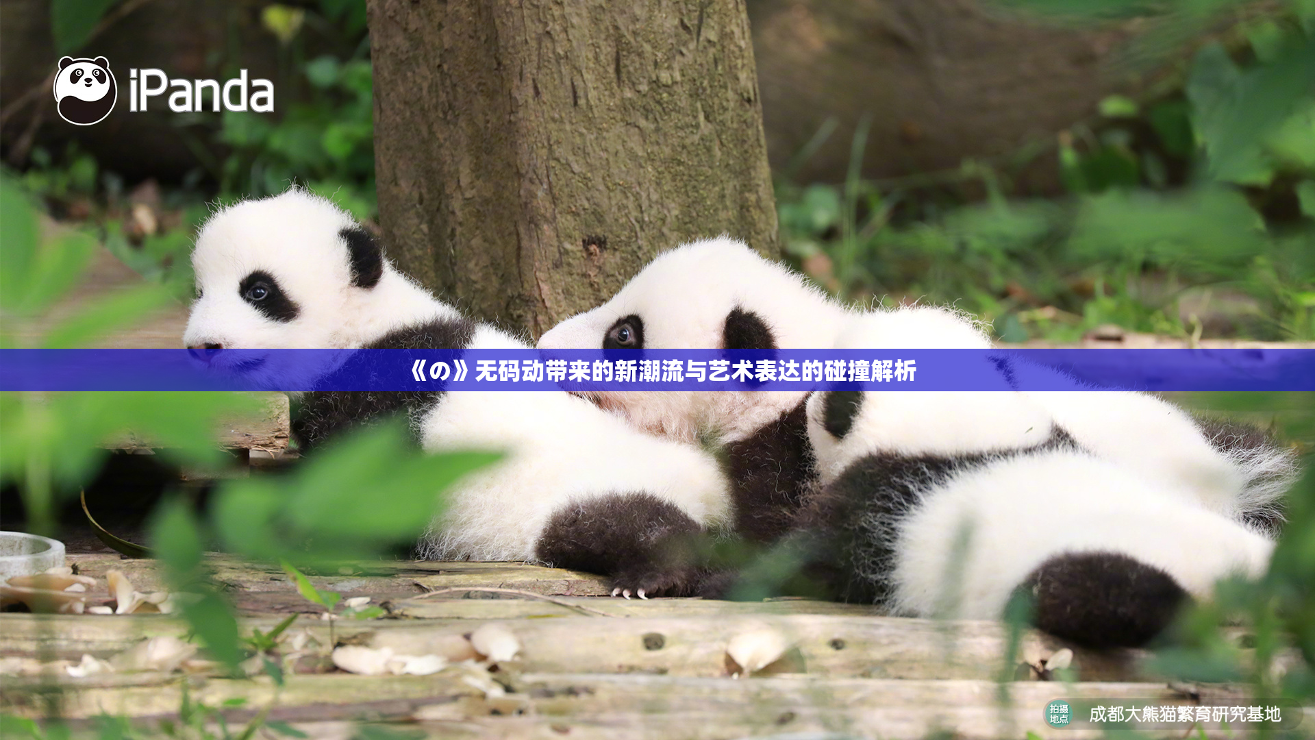 《の》无码动带来的新潮流与艺术表达的碰撞解析