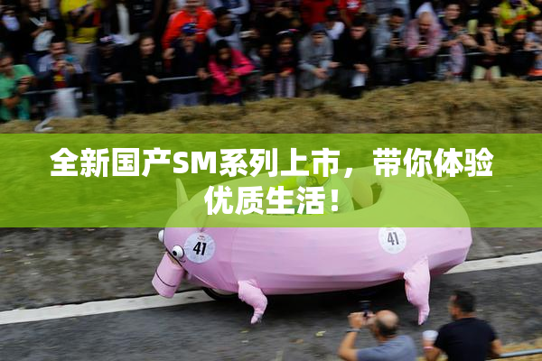 全新国产SM系列上市，带你体验优质生活！
