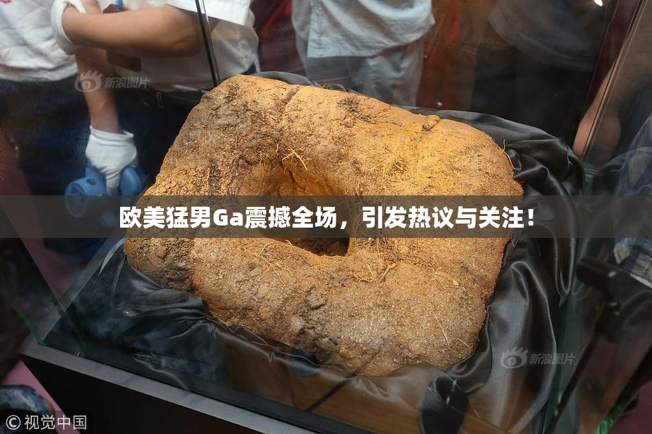 欧美猛男Ga震撼全场，引发热议与关注！