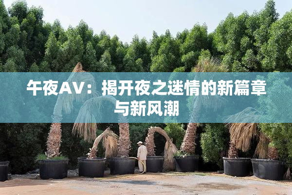 午夜AV：揭开夜之迷情的新篇章与新风潮