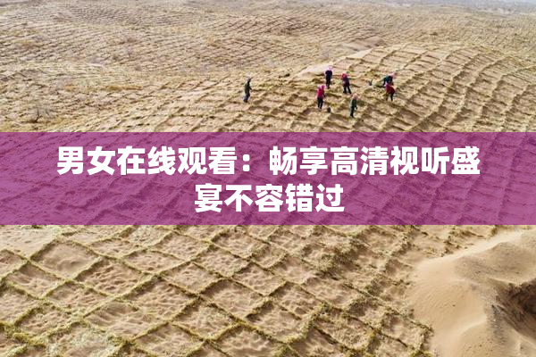 男女在线观看：畅享高清视听盛宴不容错过