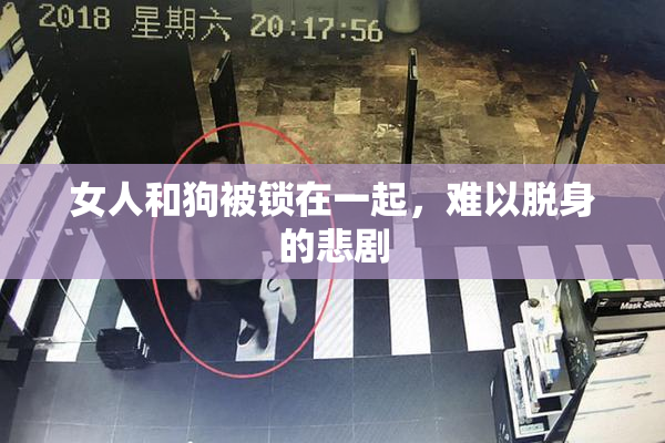 女人和狗被锁在一起，难以脱身的悲剧