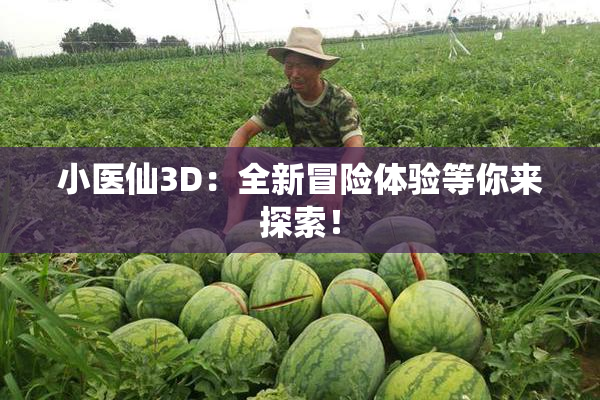 小医仙3D：全新冒险体验等你来探索！