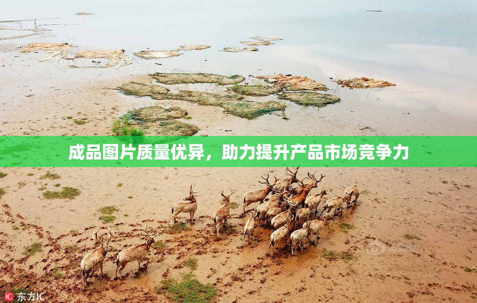 成品图片质量优异，助力提升产品市场竞争力