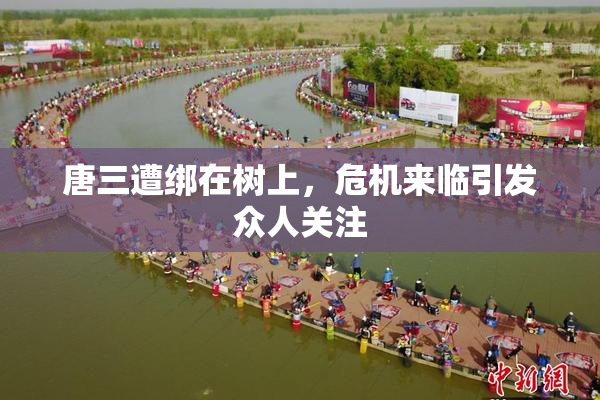 唐三遭绑在树上，危机来临引发众人关注