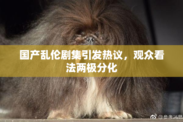 国产乱伦剧集引发热议，观众看法两极分化