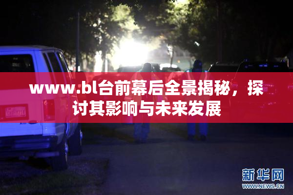 www.bl台前幕后全景揭秘，探讨其影响与未来发展