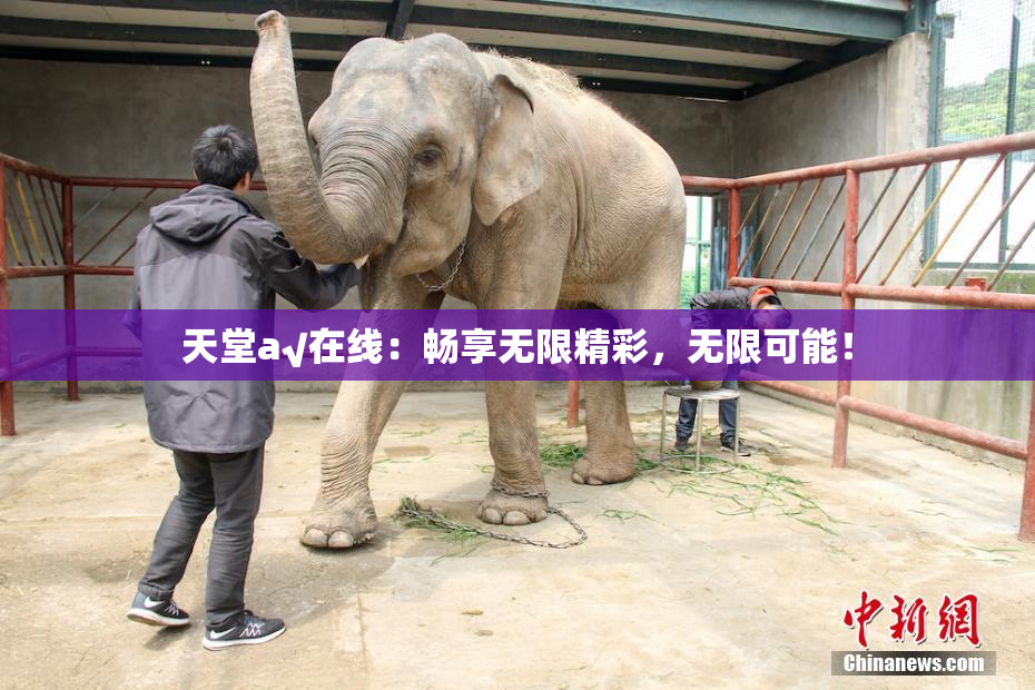 天堂а√在线：畅享无限精彩，无限可能！