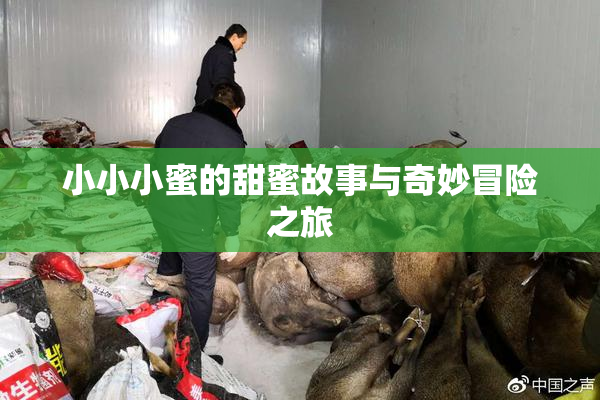小小小蜜的甜蜜故事与奇妙冒险之旅