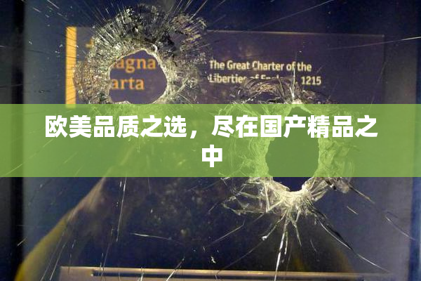 欧美品质之选，尽在国产精品之中