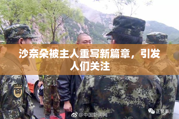沙奈朵被主人重写新篇章，引发人们关注