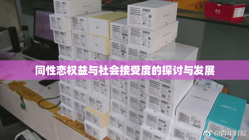 同性恋权益与社会接受度的探讨与发展