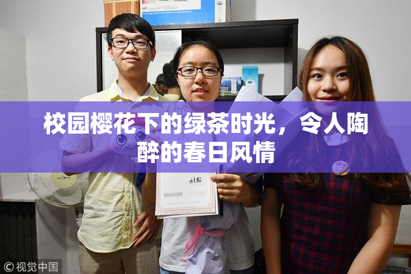 校园樱花下的绿茶时光，令人陶醉的春日风情