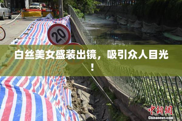 白丝美女盛装出镜，吸引众人目光！