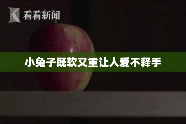 小兔子既软又重让人爱不释手