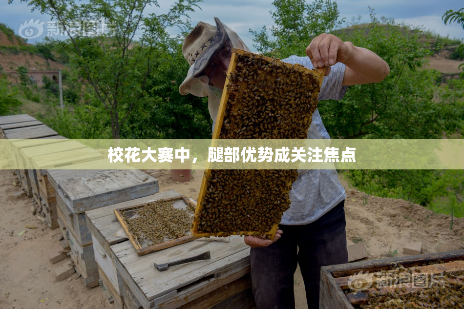 校花大赛中，腿部优势成关注焦点