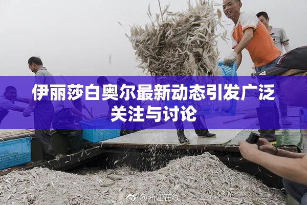 伊丽莎白奥尔最新动态引发广泛关注与讨论