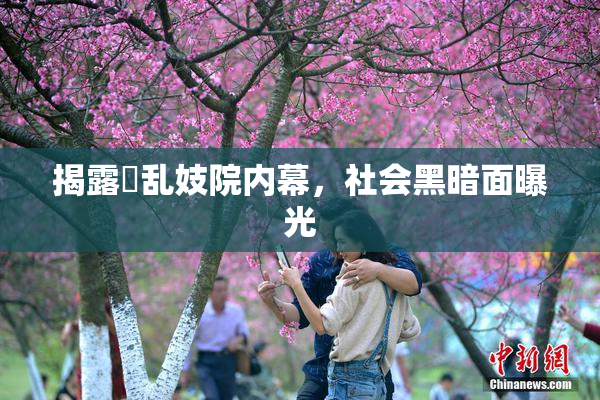 揭露婬乱妓院内幕，社会黑暗面曝光