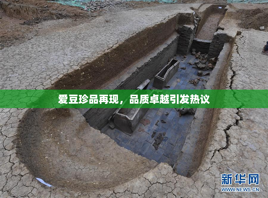 爱豆珍品再现，品质卓越引发热议