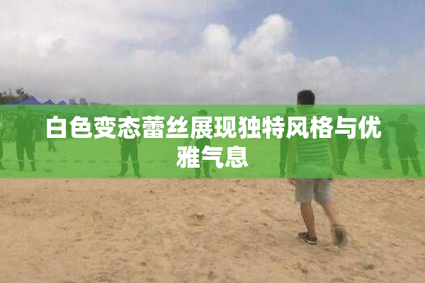 白色变态蕾丝展现独特风格与优雅气息