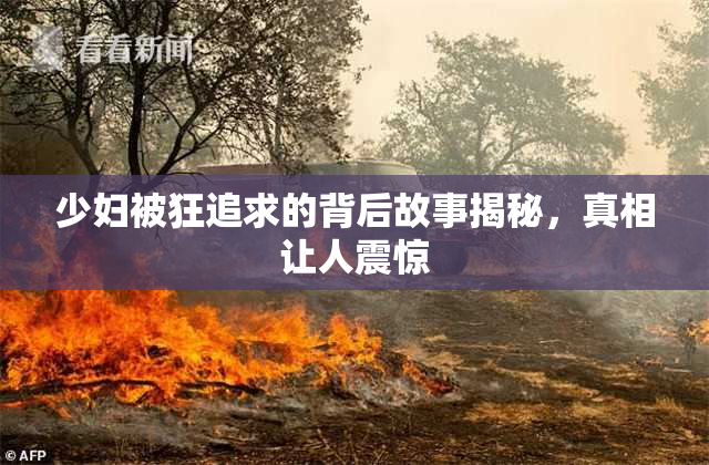 少妇被狂追求的背后故事揭秘，真相让人震惊