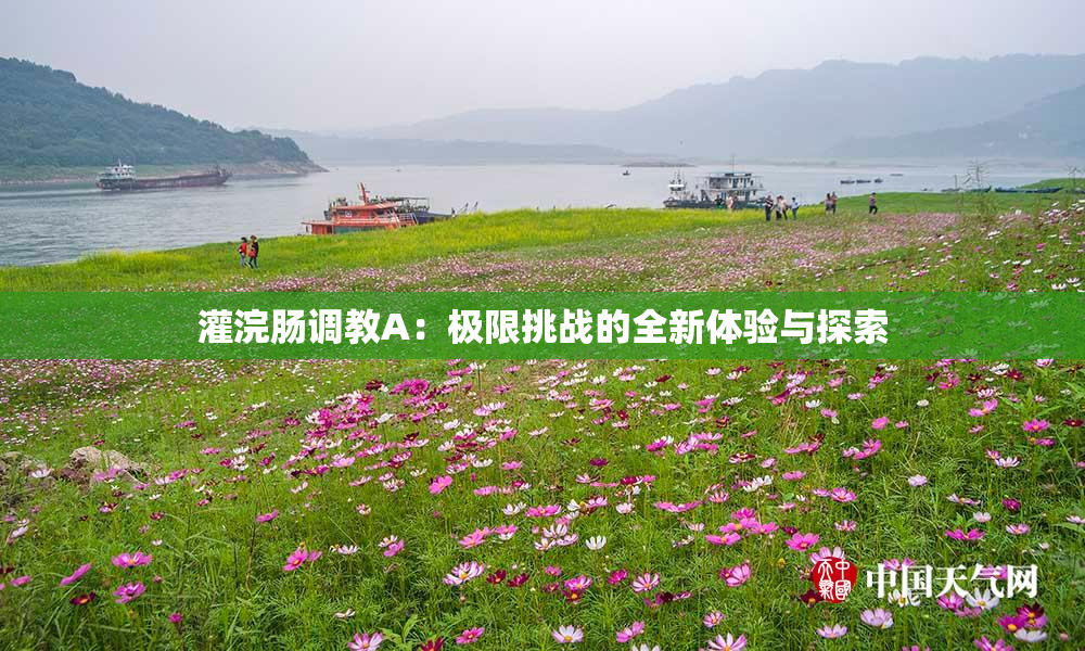 灌浣肠调教A：极限挑战的全新体验与探索