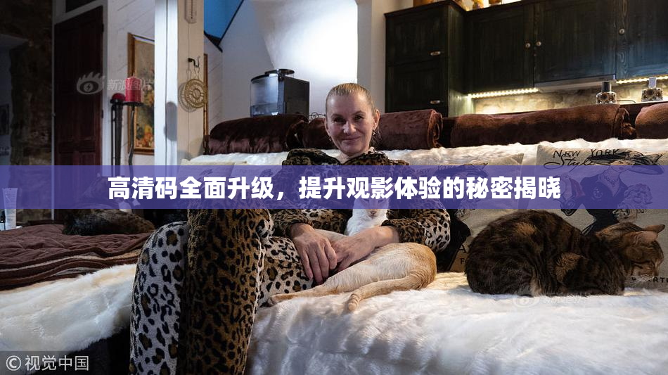 高清码全面升级，提升观影体验的秘密揭晓