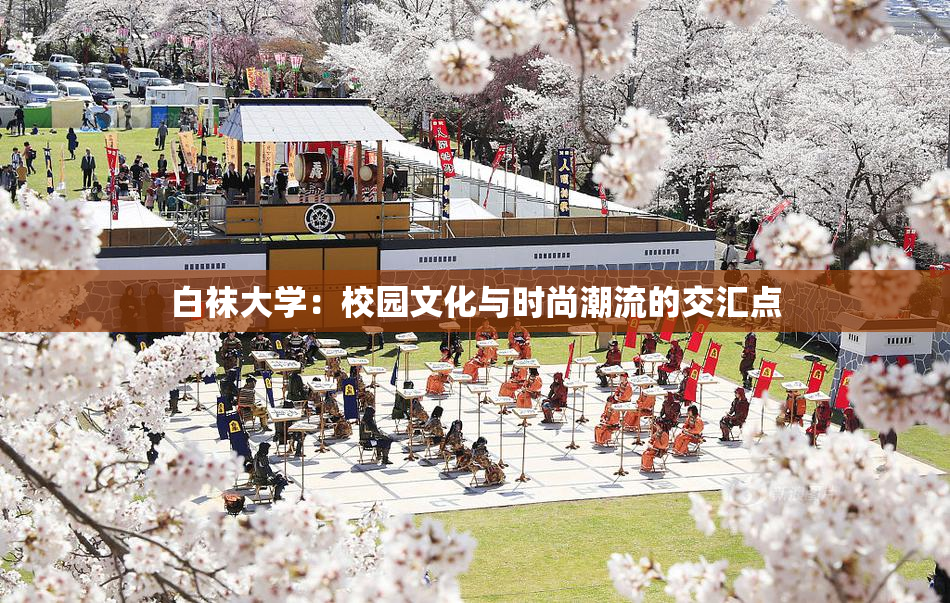 白袜大学：校园文化与时尚潮流的交汇点