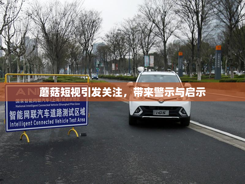 蘑菇短视引发关注，带来警示与启示
