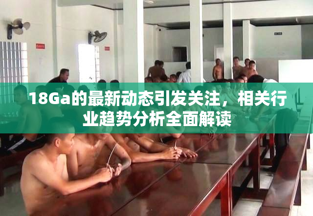 18Ga的最新动态引发关注，相关行业趋势分析全面解读