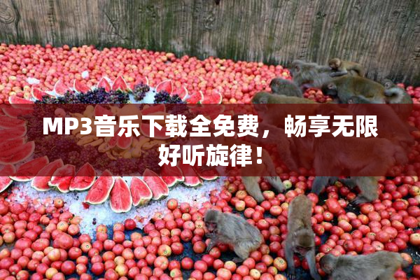 MP3音乐下载全免费，畅享无限好听旋律！