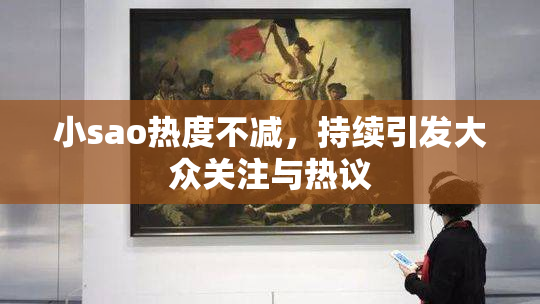 小sao热度不减，持续引发大众关注与热议