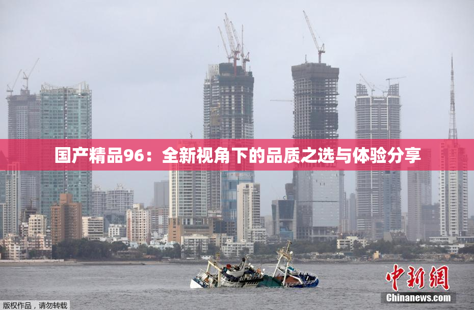 国产精品96：全新视角下的品质之选与体验分享