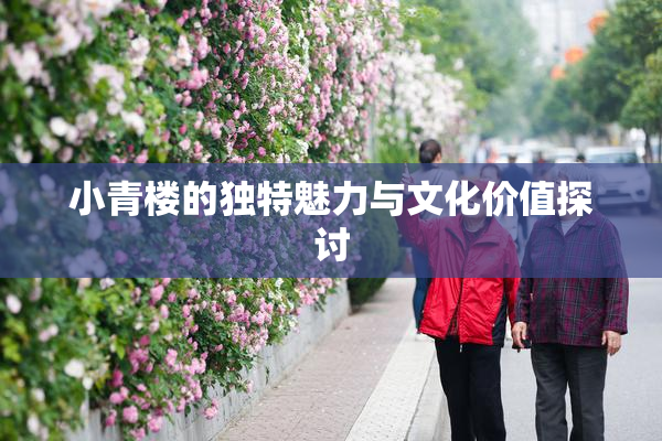 小青楼的独特魅力与文化价值探讨