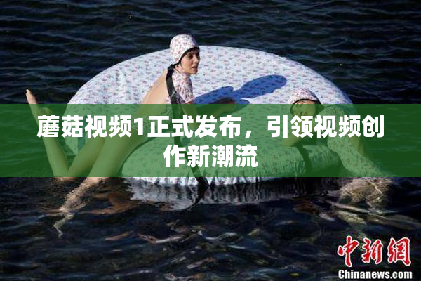 蘑菇视频1正式发布，引领视频创作新潮流