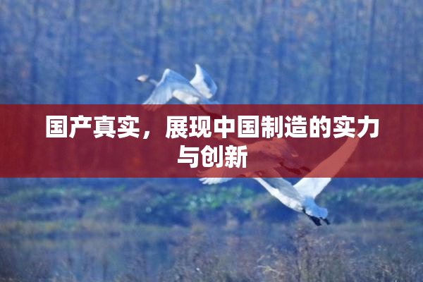 国产真实，展现中国制造的实力与创新