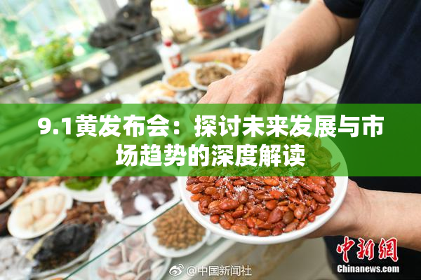 9.1黄发布会：探讨未来发展与市场趋势的深度解读