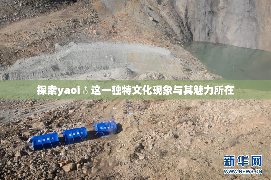 探索yaoi♂这一独特文化现象与其魅力所在