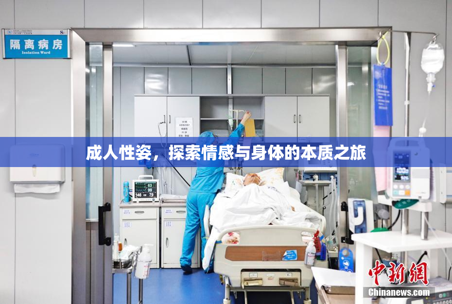 成人性姿，探索情感与身体的本质之旅