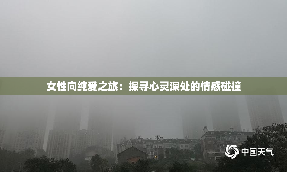 女性向纯爱之旅：探寻心灵深处的情感碰撞